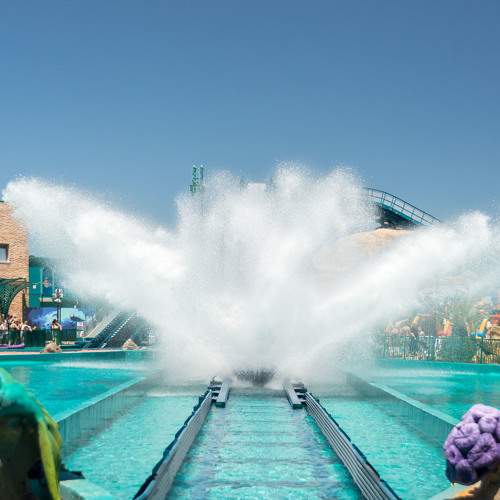 Photo #10824814