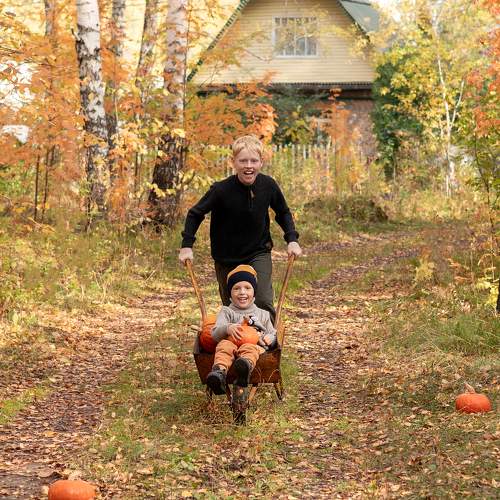 Photo #10824852