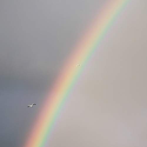Photo #10825010