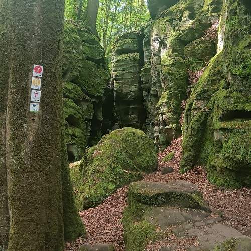 Photo #10825688