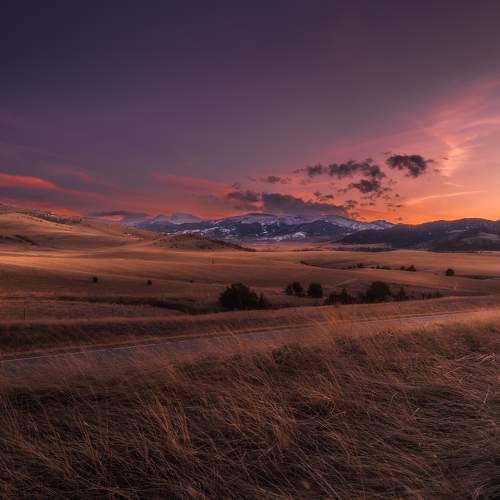 Photo #10825811