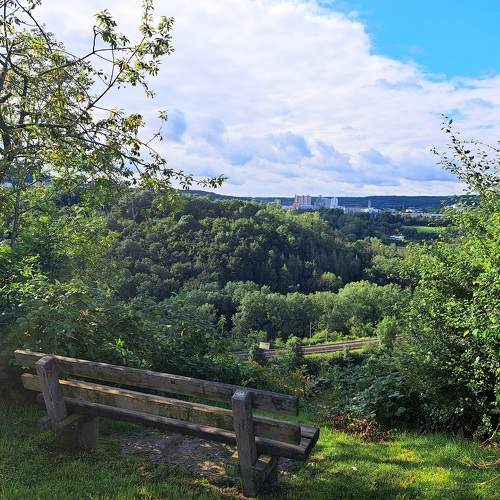 Photo #10826703