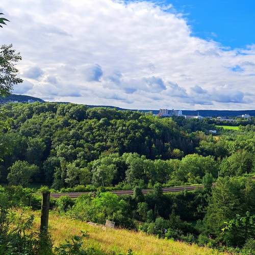 Photo #10826705