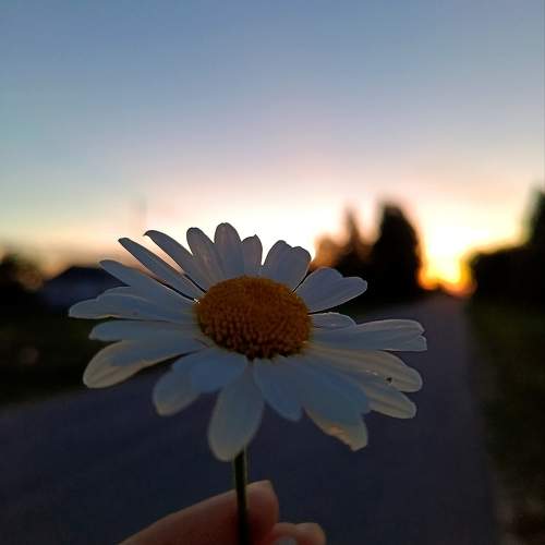 Photo #10826893