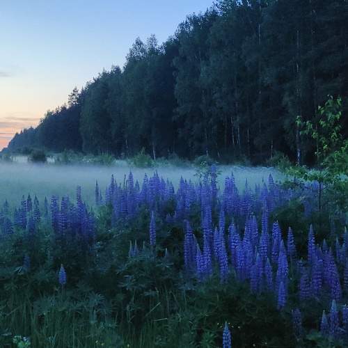 Photo #10827015