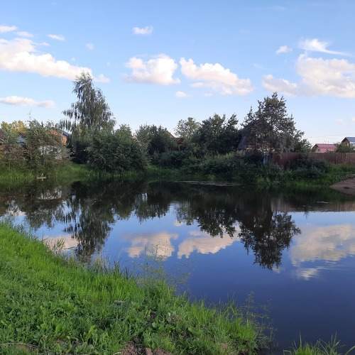 Photo #10828058