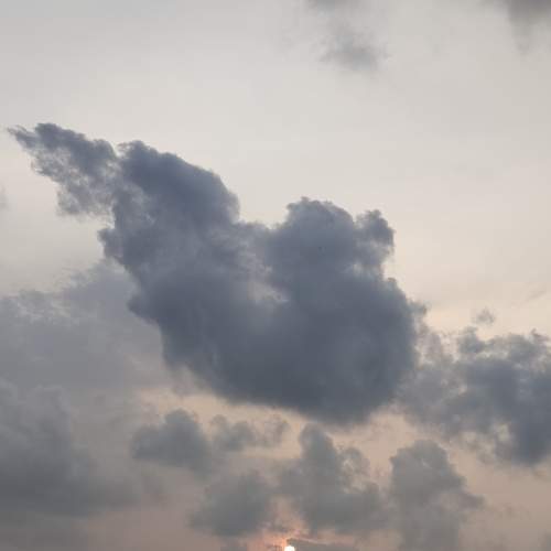 Photo #10828213
