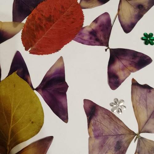 Photo #10828253