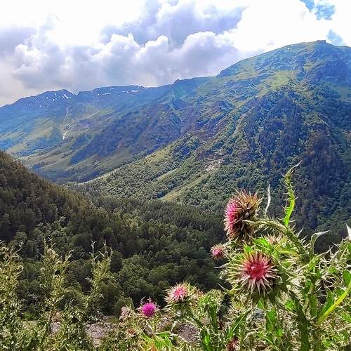 Photo #10828981