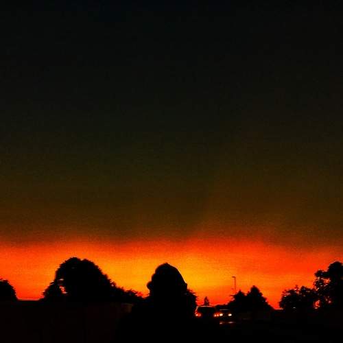 Photo #10829247