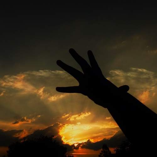 Photo #10829249