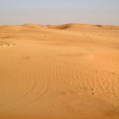 Photo #10829572