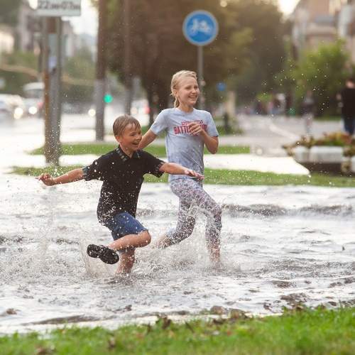 Photo #10829653