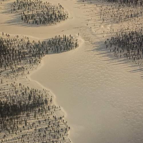 Photo #10829935