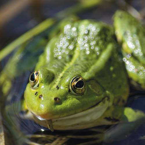 Photo #10829973