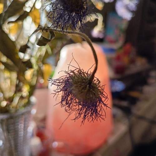 Photo #10830223