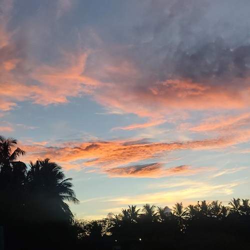 Photo #10830249