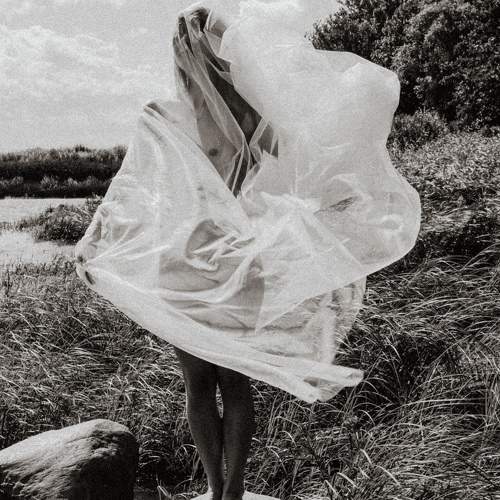 Photo #10831354