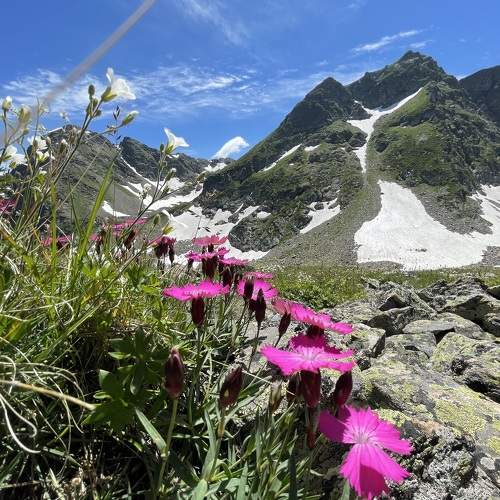 Photo #10832201