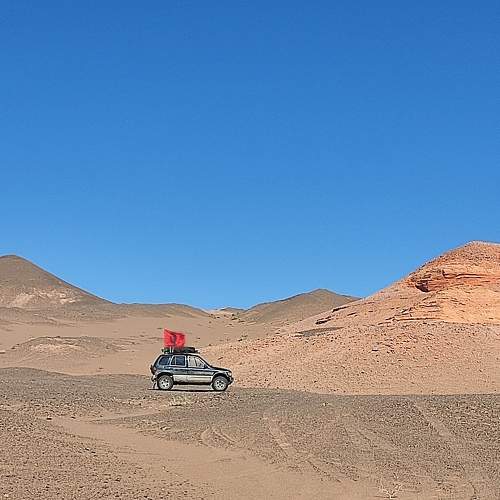 Photo #10832386
