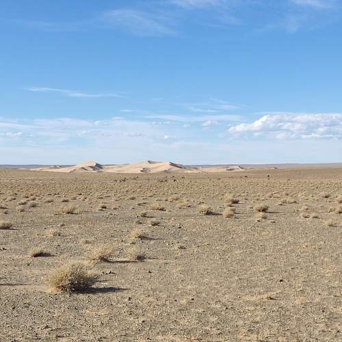 Photo #10832389