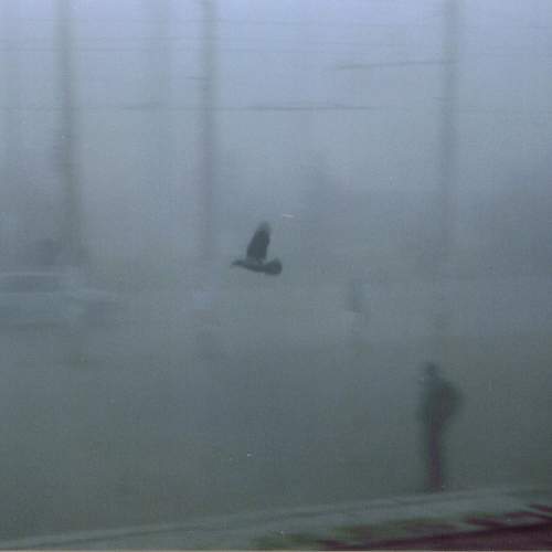 Photo #10832518