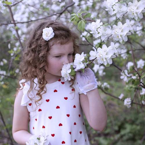 Photo #10832923