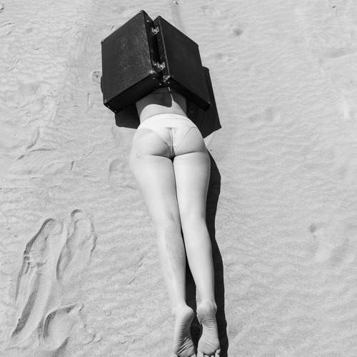 Photo #10833238