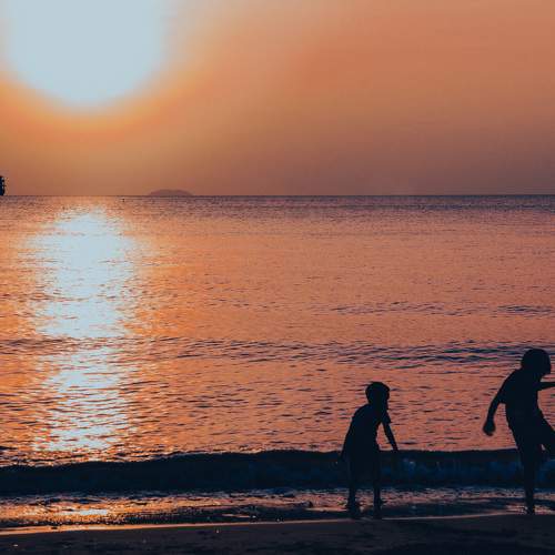 Photo #10833254