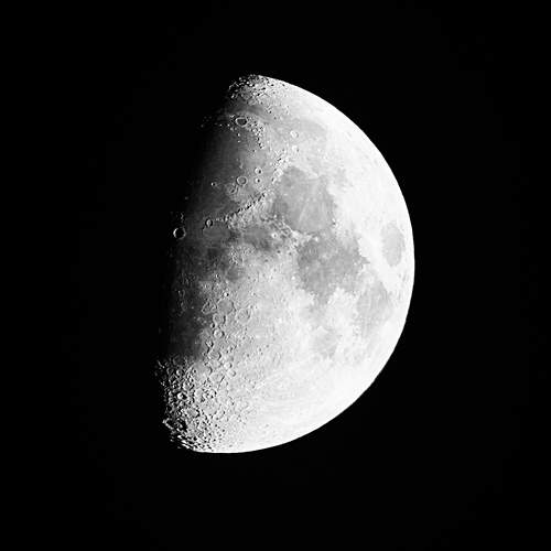 Photo #10834319