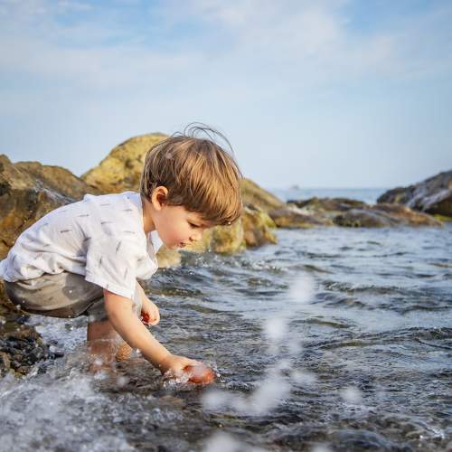 Photo #10834432