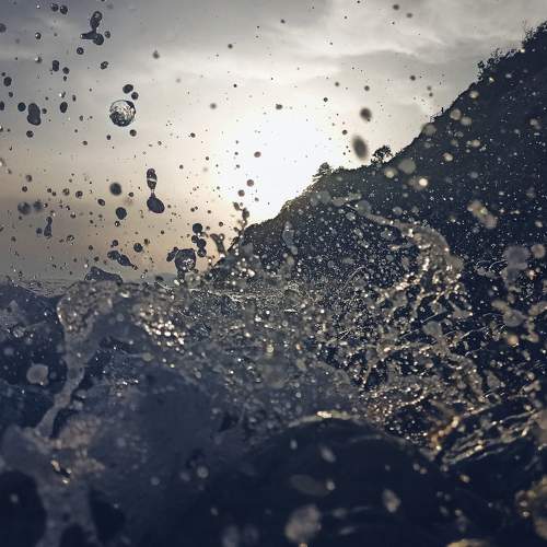 Photo #10834524