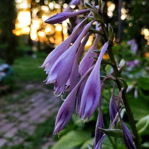 Photo #10834724