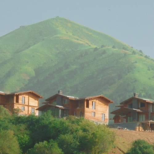 Photo #10834894