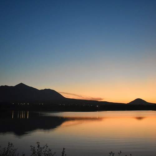Photo #10835404