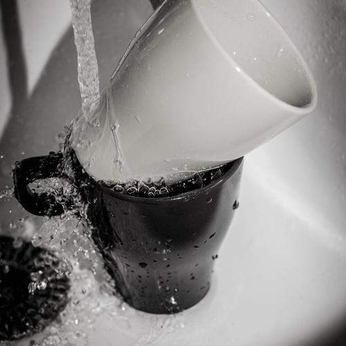 Photo #10835493