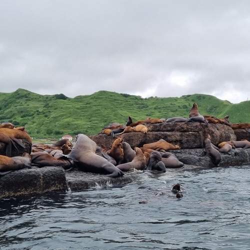 Photo #10836105