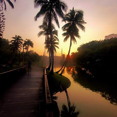 Photo #10836114