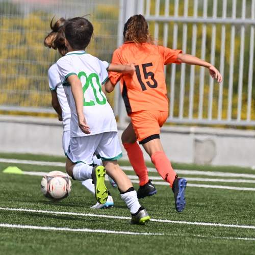 Photo #10836134