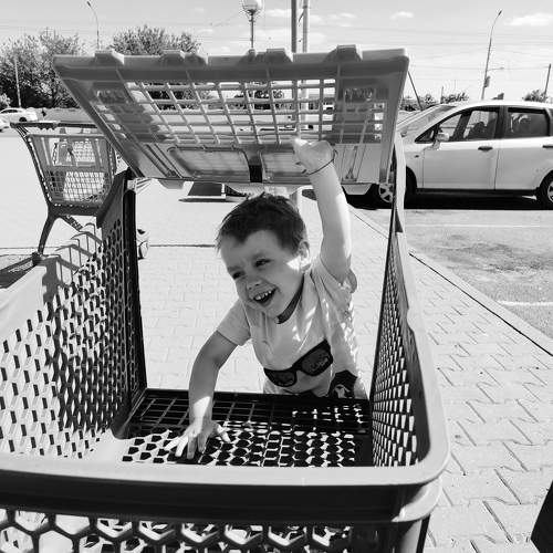 Photo #10836187