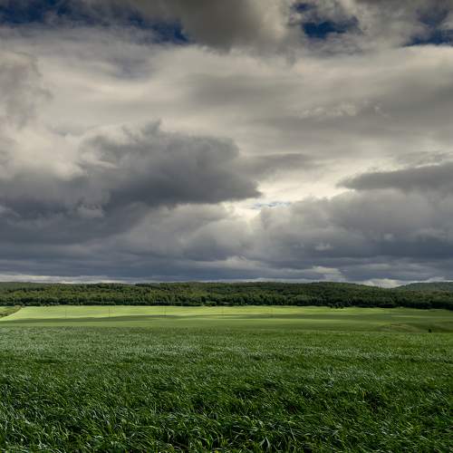 Sky, field, clouds