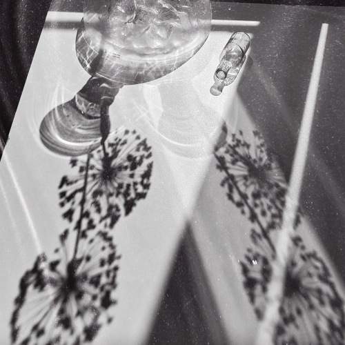 Photo #10836216