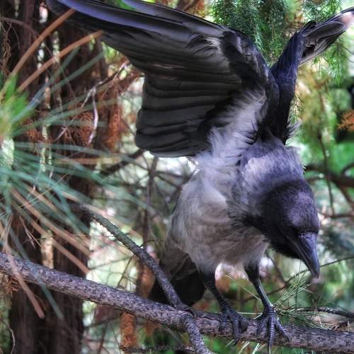 Photo #10836434