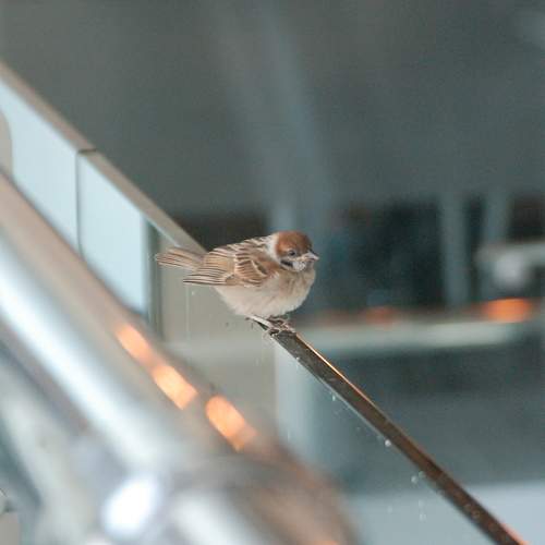 Photo #10836455