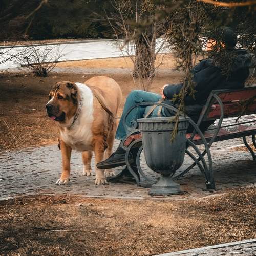Photo #10836690