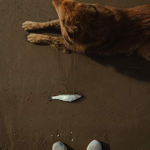 Photo #10836737