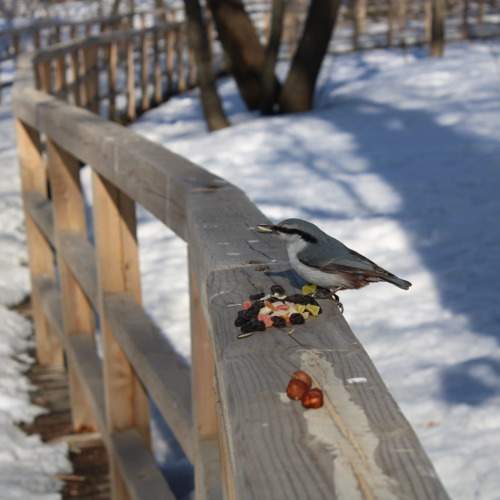 Photo #10836862