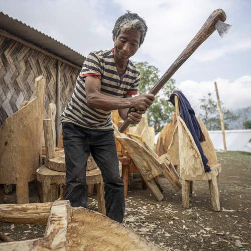 Фотография #10837047