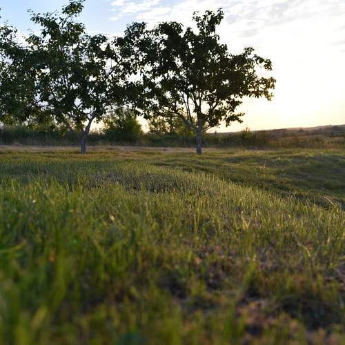 Photo #10837200