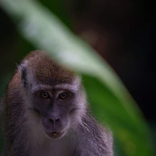 Photo #10837245